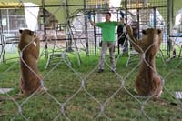 200629krone_farm053