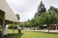 200629krone_farm079