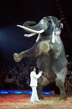 24_krone_mlm2_h59joe