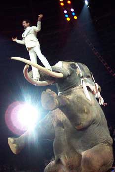 25_krone_mlm2_h85joe