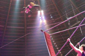 29_krone_ms_q71domschin