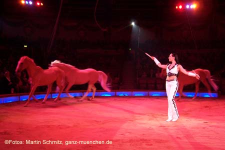 060301circus_krone028