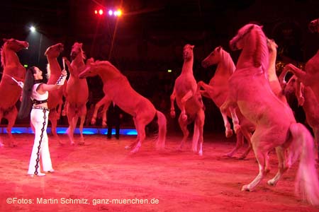 060301circus_krone029