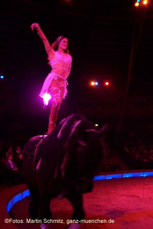 060301circus_krone044