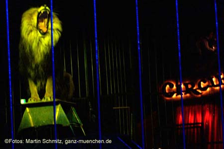 060301circus_krone054