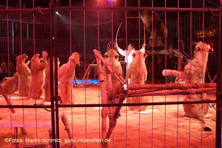 060301circus_krone056