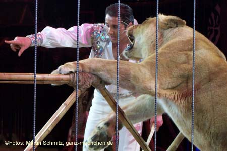 060301circus_krone061