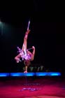 060301circus_krone025