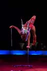 060301circus_krone027