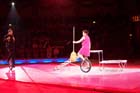 060301circus_krone035
