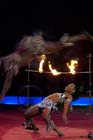 060301circus_krone049