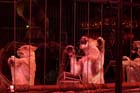 060301circus_krone057