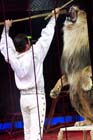 060301circus_krone068