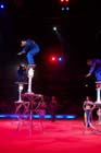 060301circus_krone077