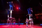 060301circus_krone079