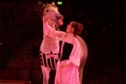 060301circus_krone096