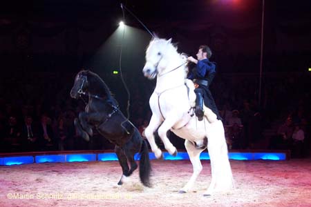 051225circus_krone036