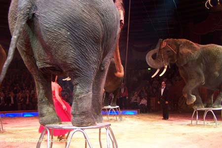 051225circus_krone104