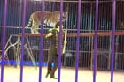 051225circus_krone093