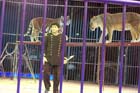 051225circus_krone094