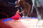 051225circus_krone103