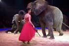 051225circus_krone113