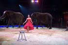 051225circus_krone120