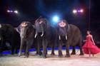 051225circus_krone123