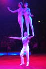 051225circus_krone152