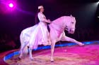051225circus_krone162
