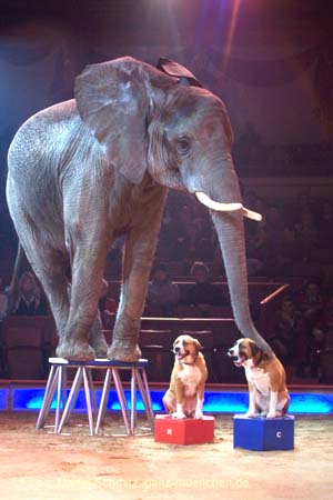 060201krone_elefant03