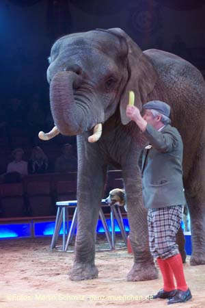 060201krone_elefant08