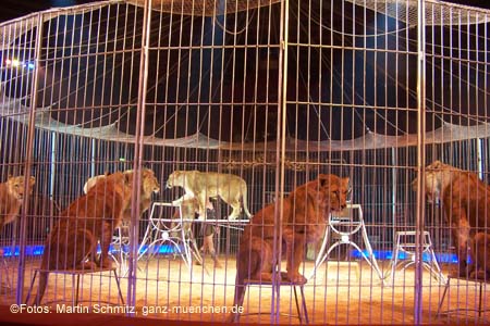 060201krone_loewen05