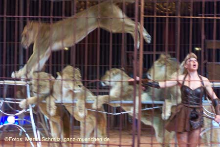 060201krone_loewen09