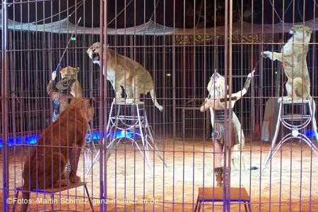 060201krone_loewen12