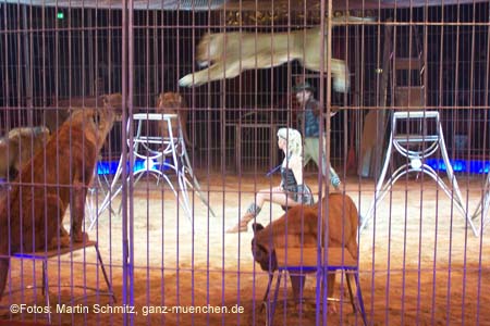 060201krone_loewen13