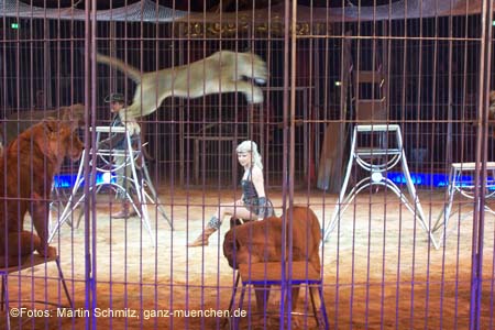 060201krone_loewen14