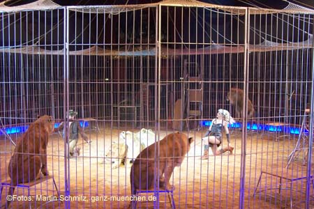 060201krone_loewen16