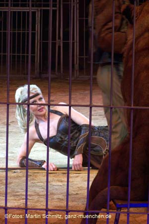 060201krone_loewen17