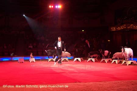 060201krone_trunk1_04