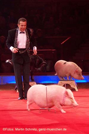 060201krone_trunk1_05