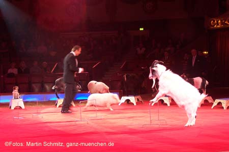 060201krone_trunk1_06