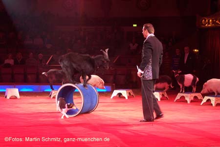 060201krone_trunk1_07