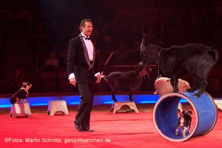 060201krone_trunk1_08