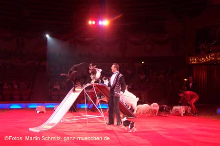 060201krone_trunk1_11