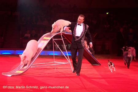 060201krone_trunk1_12