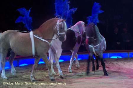 060201krone_trunk2_02