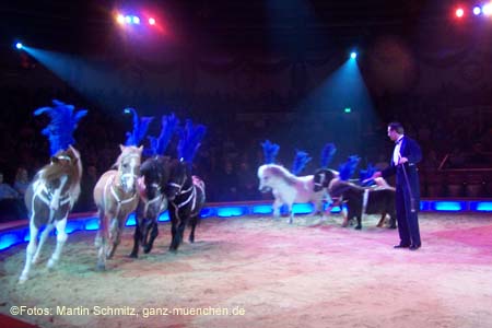 060201krone_trunk2_03