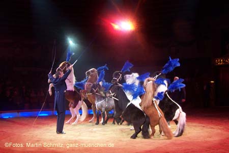 060201krone_trunk2_05