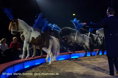 060201krone_trunk2_06